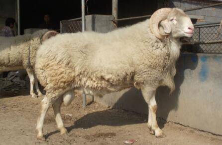 Сβ���������ô���£�_����