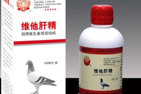 肝精对鸽子有什么作用_养鸽