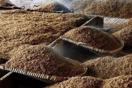 酿完酒的酒糟能喂鱼吗?_养鱼