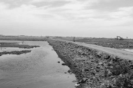 一亩虾塘用多少公斤生石灰_养虾