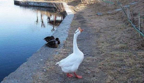 ���������ʵ�ע������_����