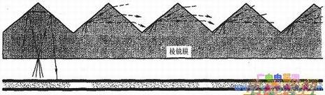 棱镜膜的表面结构