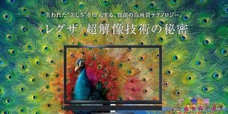 ָ룺ض֥Resolution+ 