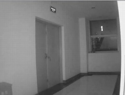 IP Camera TL-SC3171ϵҹӹӦ