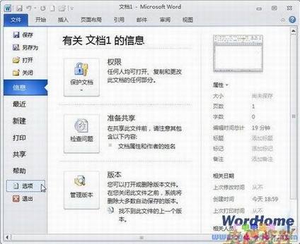 Word2010Insertѡдģʽ