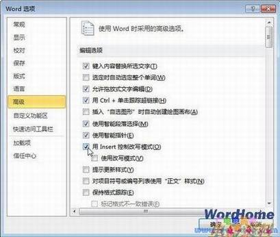Word2010Insertѡдģʽ