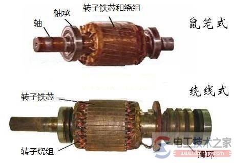 三相异步电动机的分类_三相异步电动机多个分类方式