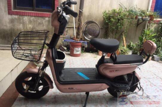 哪个品牌的电动车质量好,爱玛与金箭及五星钻豹看一看