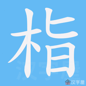 ���񡷵ı�˳����д�ֶ�����ʾ