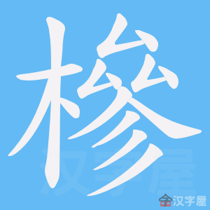 �������ı�˳����д�ֶ�����ʾ