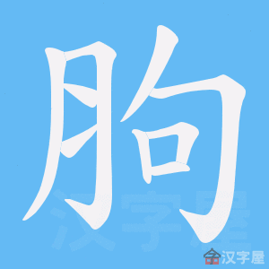 ���a���ı�˳����д�ֶ�����ʾ