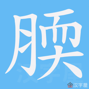 ���Q���ı�˳����д�ֶ�����ʾ