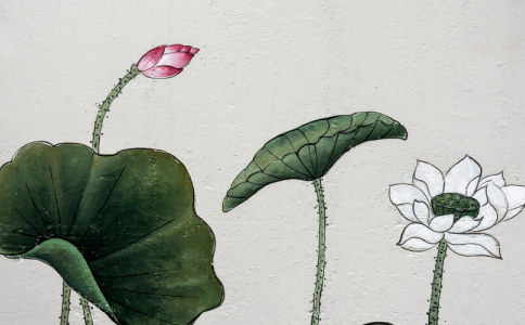 禅字的五行属性是什么