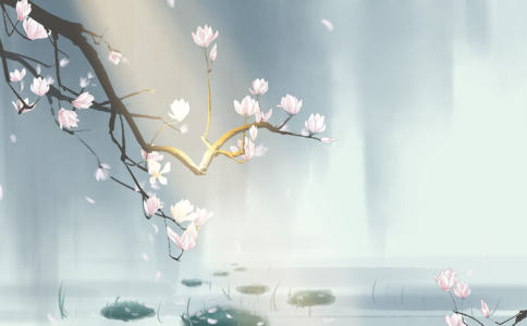 淼字的五行属性是什么