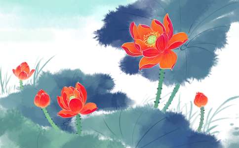 五行缺土宝宝名字2019