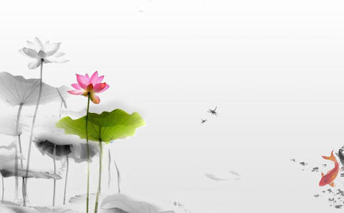 鸿字的五行属性是什么