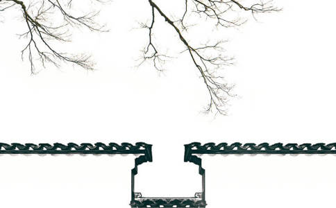 Ҷ�ֵ�����������ʲô