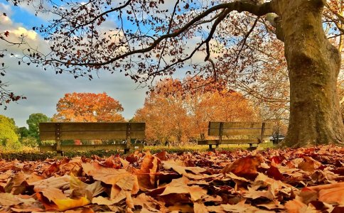 姓方取名男孩 这些佳名你想到了吗?