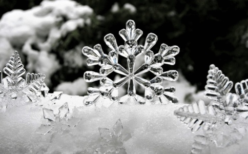 吴姓的名字有哪些