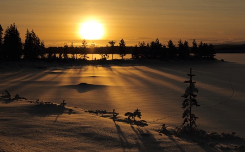 高姓宝宝取名2019