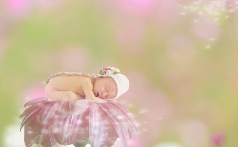 ������é������2019