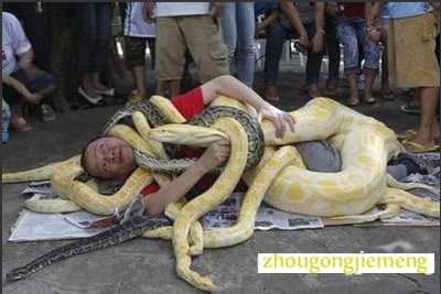梦见蛇缠身